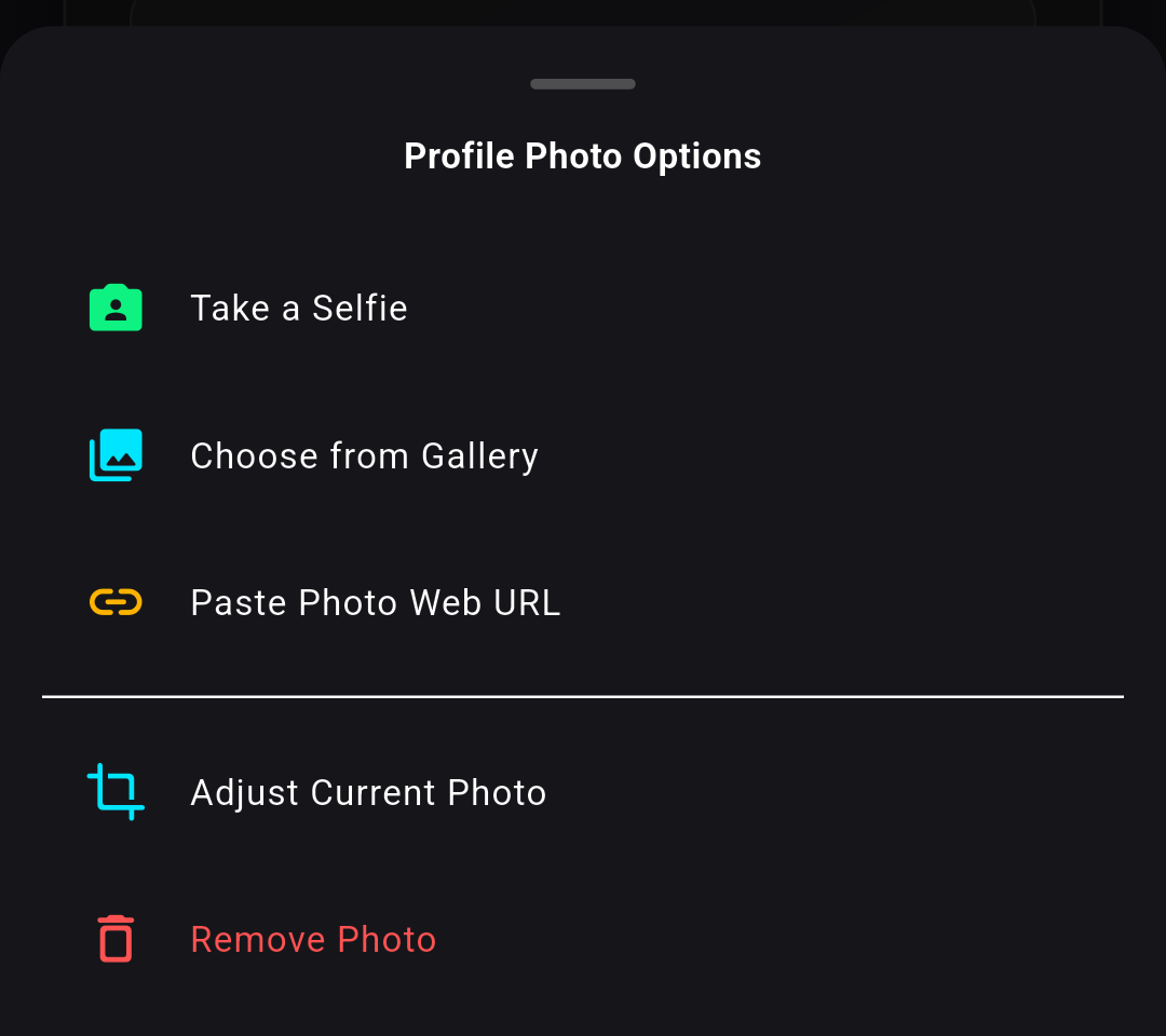 The profile photo options